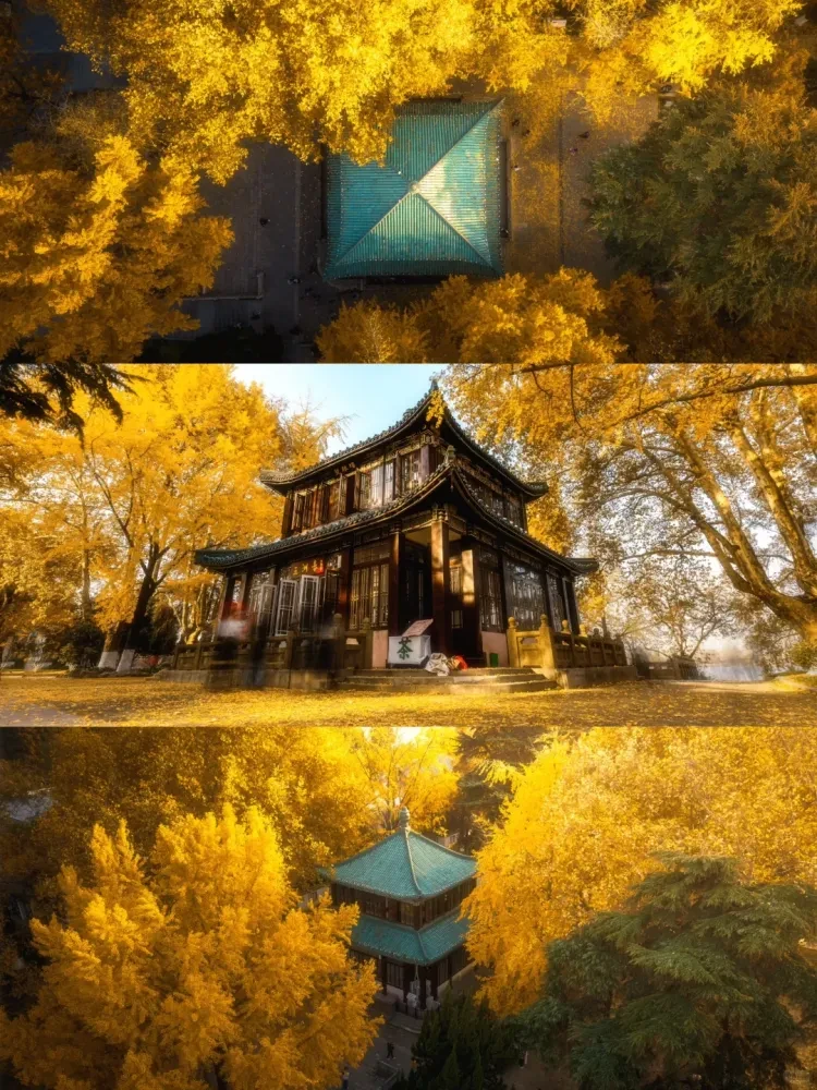 77582e39606705a811189dd742277f12-sz_4252136 77582e39606705a811189dd742277f12-sz_4252136