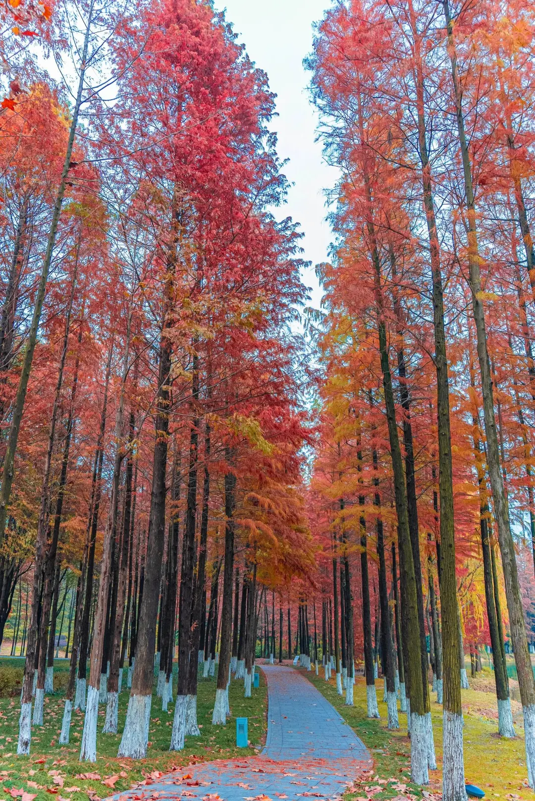 77761b08d9d41c9bb7698cb28a1d2536-sz_1471808