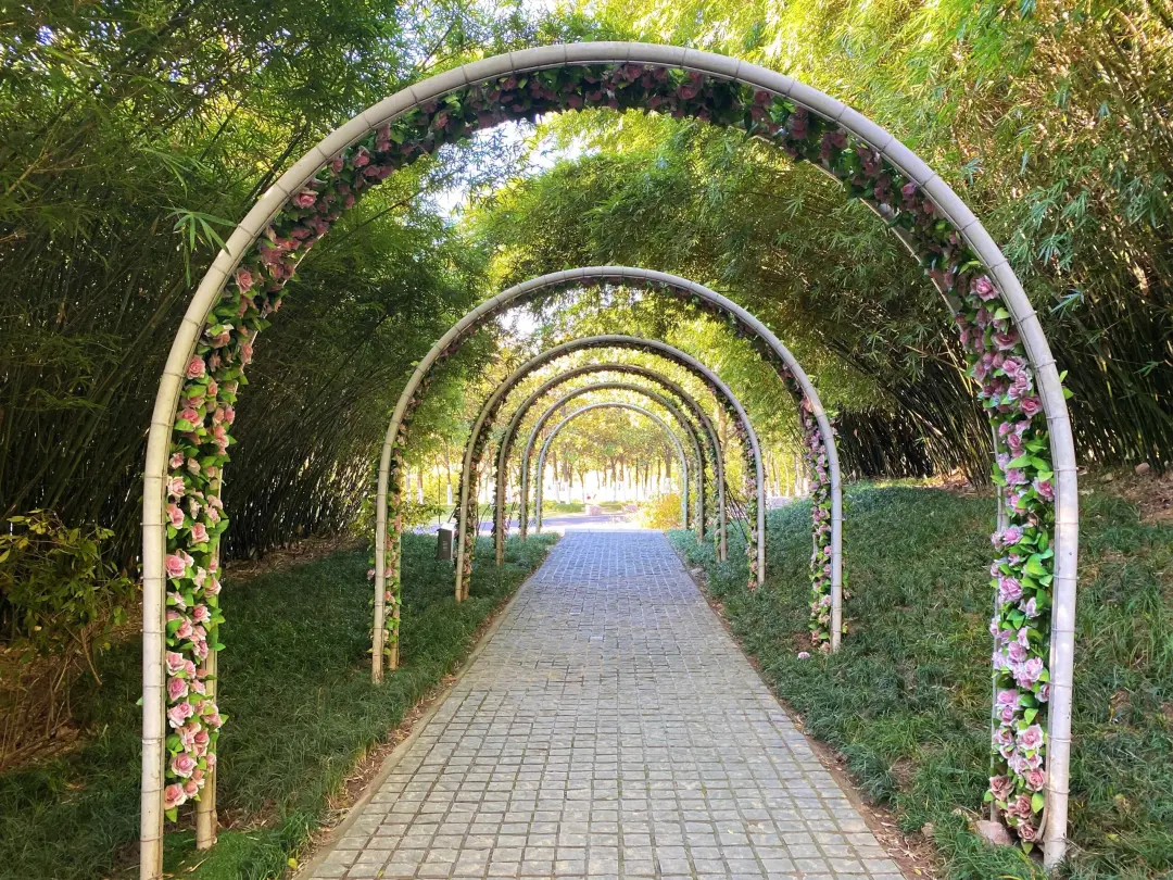 779c68a7c7aafe5b3826d842bc3572ef-sz_1353346-1 779c68a7c7aafe5b3826d842bc3572ef-sz_1353346-1