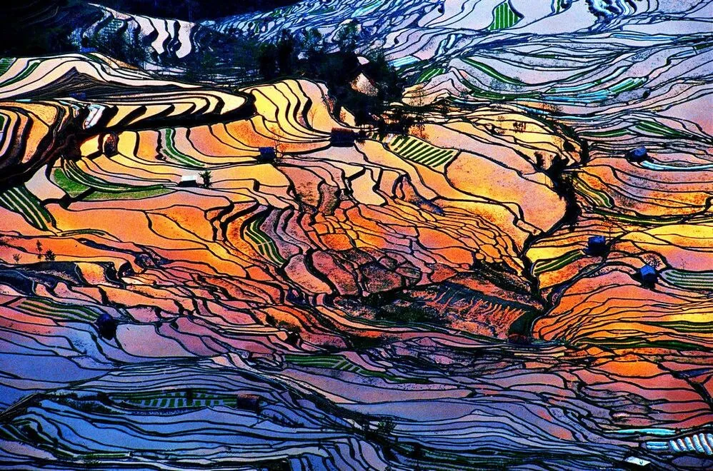 77c0a0832e801df8cab443af53e6ed4e-sz_274904 77c0a0832e801df8cab443af53e6ed4e-sz_274904