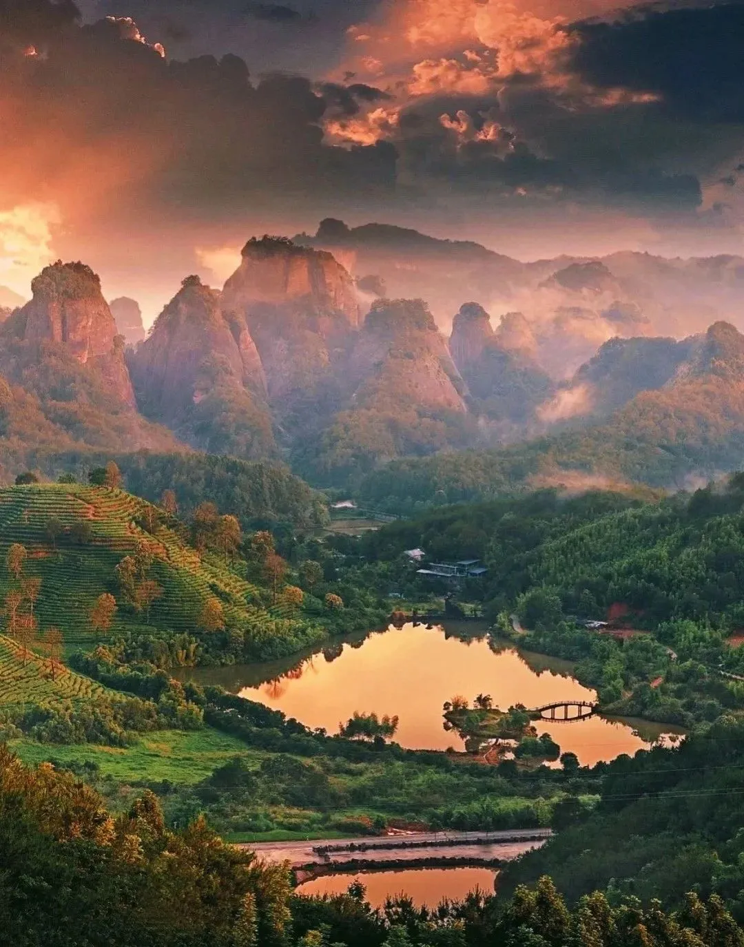 77da41a82c77c1e32e8fed5abbe5b267-sz_2477805 77da41a82c77c1e32e8fed5abbe5b267-sz_2477805