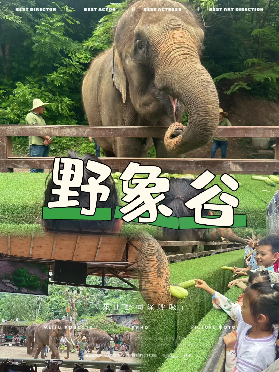 77ede41556ff25f0dc478fabcb3a4620-sz_1296209