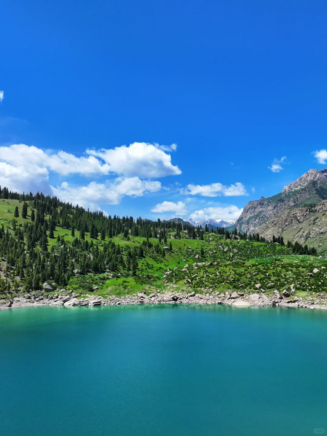 78054e9bd26c337ca65f643498b93904-sz_1997064 78054e9bd26c337ca65f643498b93904-sz_1997064