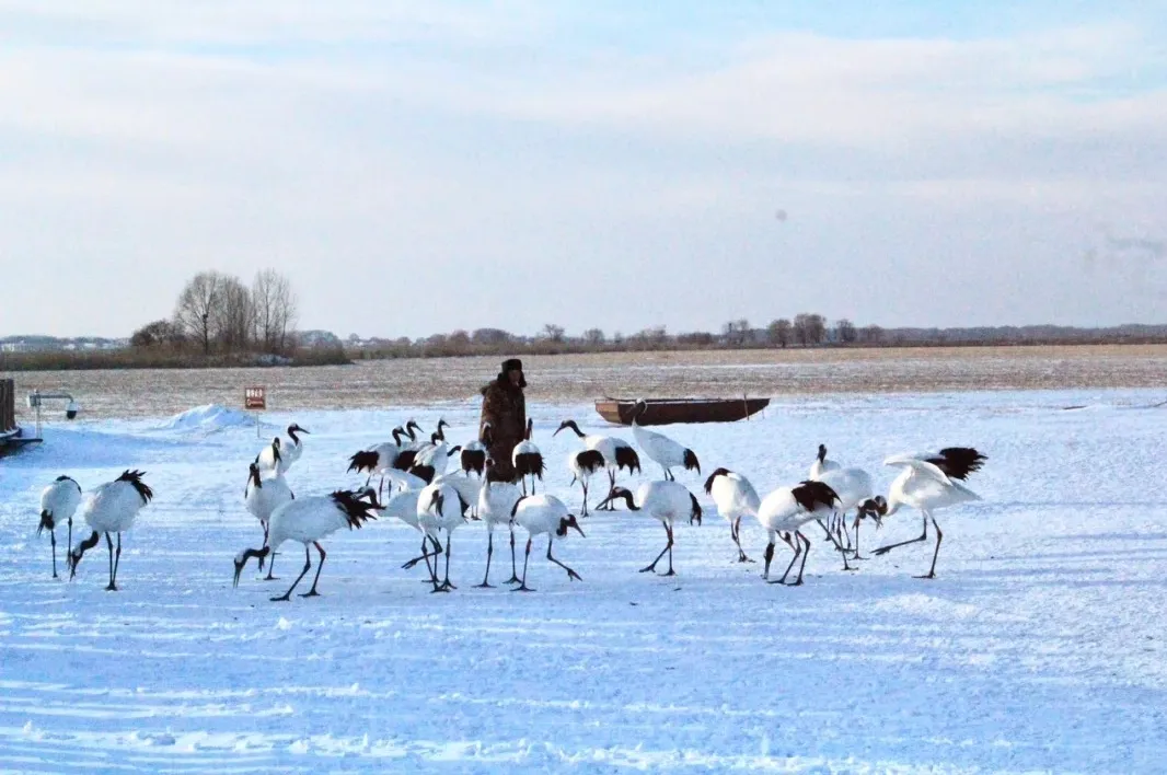 781858f2abc85cba5edb676abeff34e7-sz_603747 781858f2abc85cba5edb676abeff34e7-sz_603747