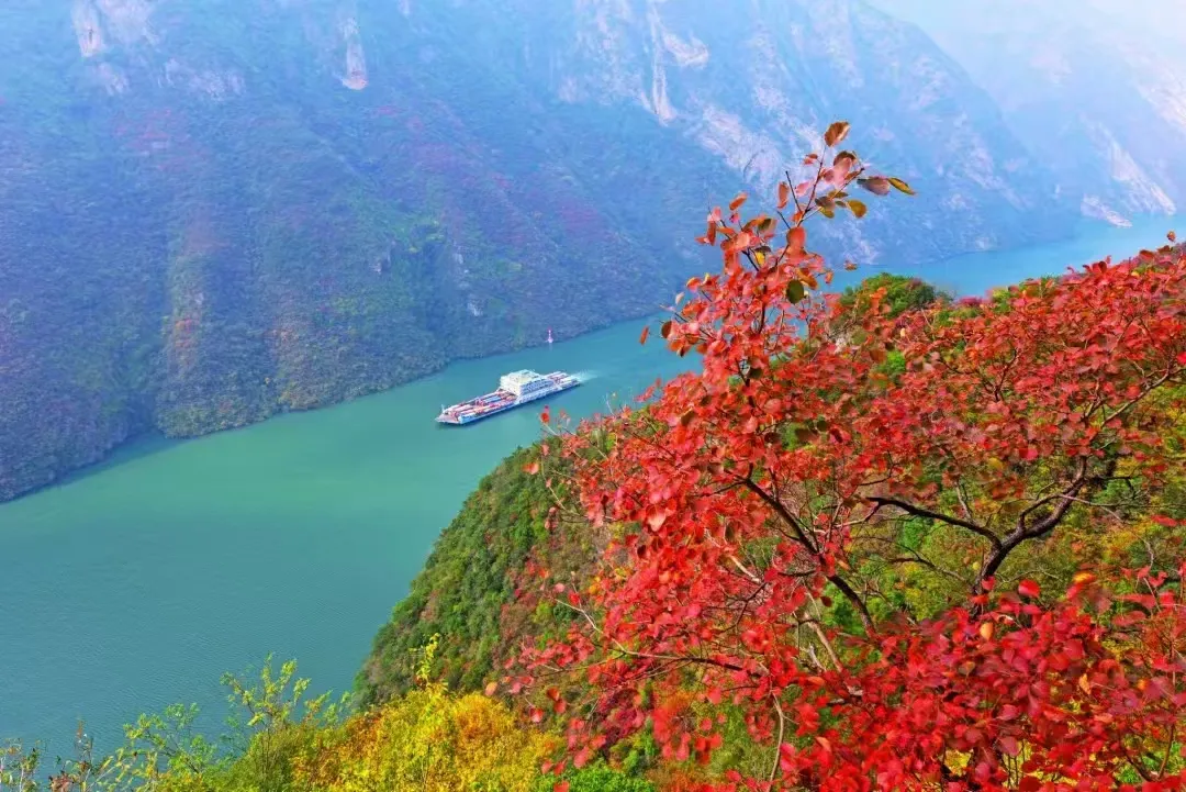 782d161a6d17678293806a093a410192-sz_628379 782d161a6d17678293806a093a410192-sz_628379