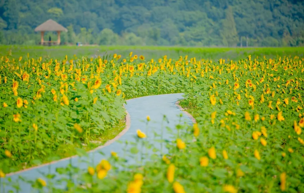 78629b1153525a3513ef10861f9a920e-sz_1159517