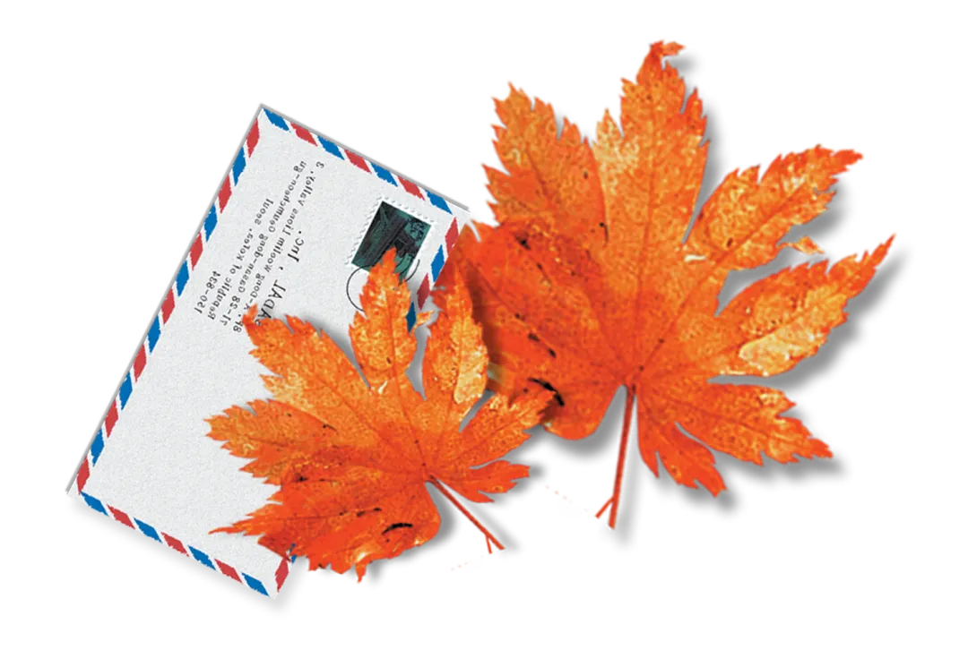 786a014b51f60b6f299623f800536bfc-sz_1233200 786a014b51f60b6f299623f800536bfc-sz_1233200