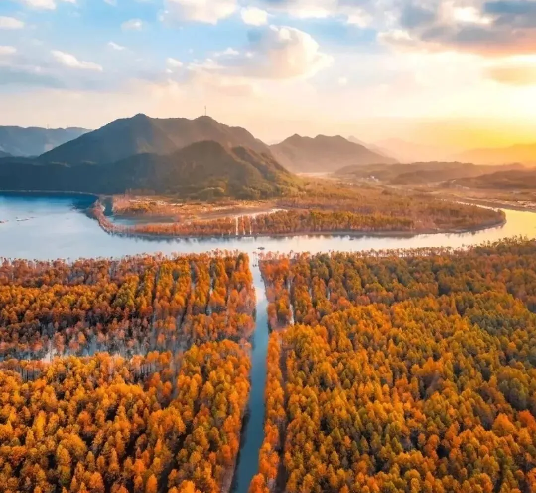 78a2b78636f9d512d2e6e30540046412-sz_218404