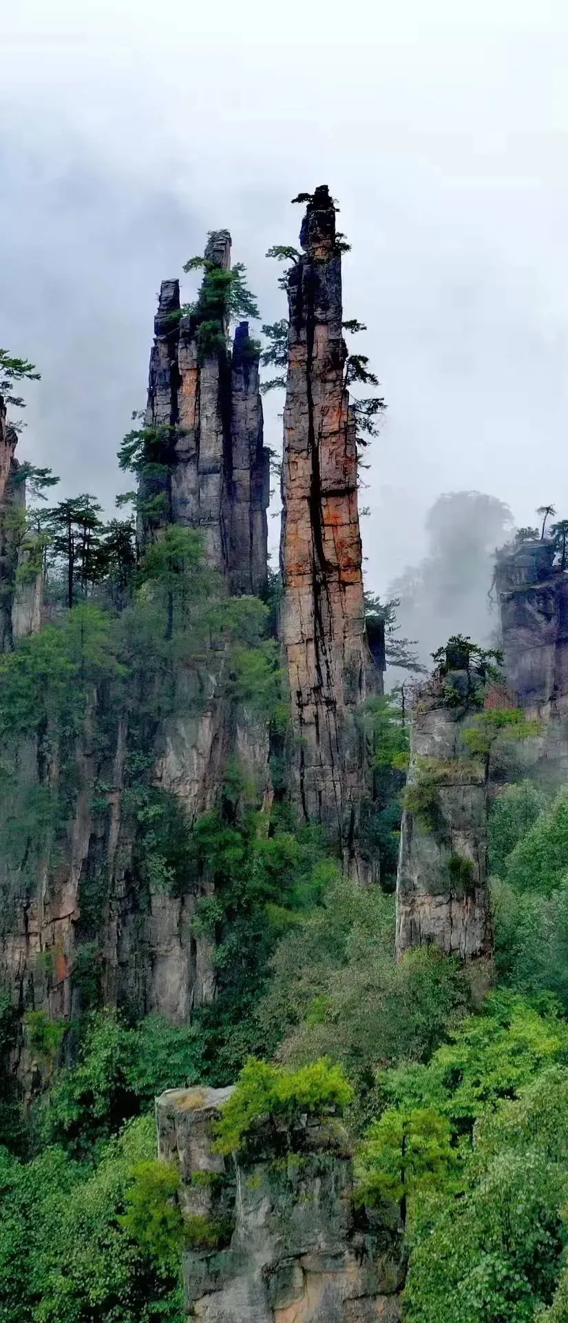 78c5e1eff4af8d71efcb589e42590f71-sz_1216032