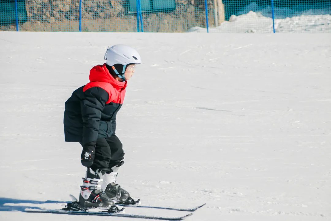 78e8445be1efde1e215df8ae2cb84bd8-sz_3987824 78e8445be1efde1e215df8ae2cb84bd8-sz_3987824