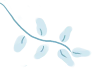 79320502d24dd58932a40a1e3c58da50-sz_31246