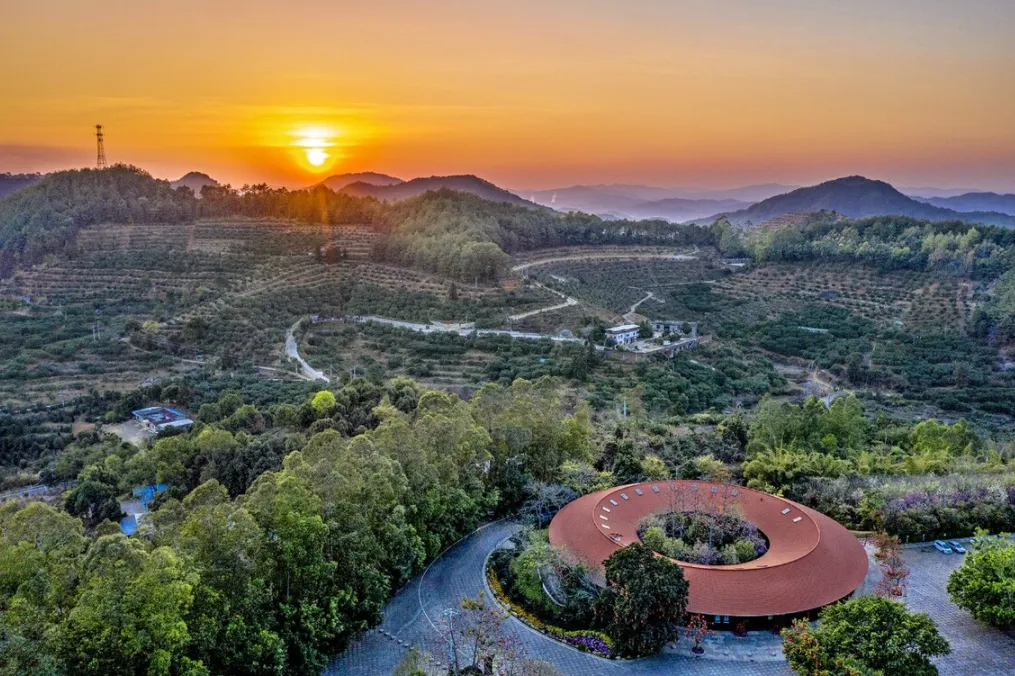 7936a19aa8a849c20592098810f79399-sz_340848