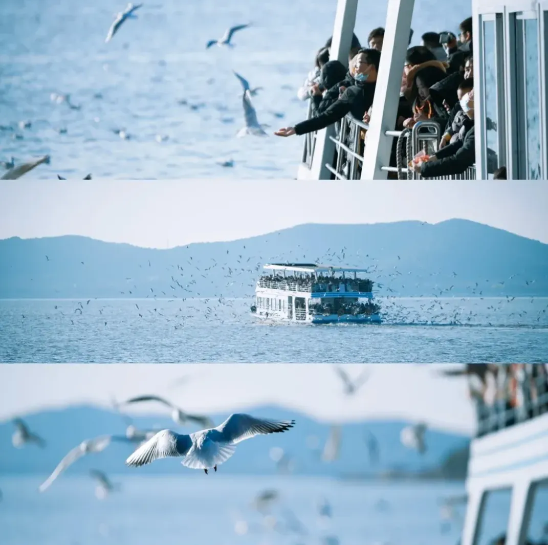 79827b889cfa71e6e99b9c069c3ef674-sz_1252410