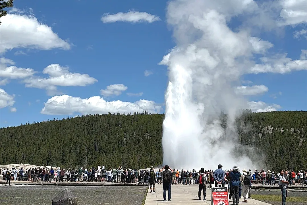 7995cb3a8d6642c32205f74646a926af-sz_2402992 7995cb3a8d6642c32205f74646a926af-sz_2402992