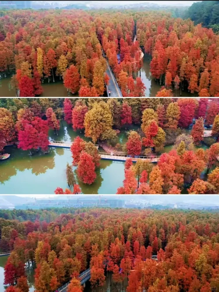 79a26a4c8236c225dd1efb99f428161a-sz_3970850