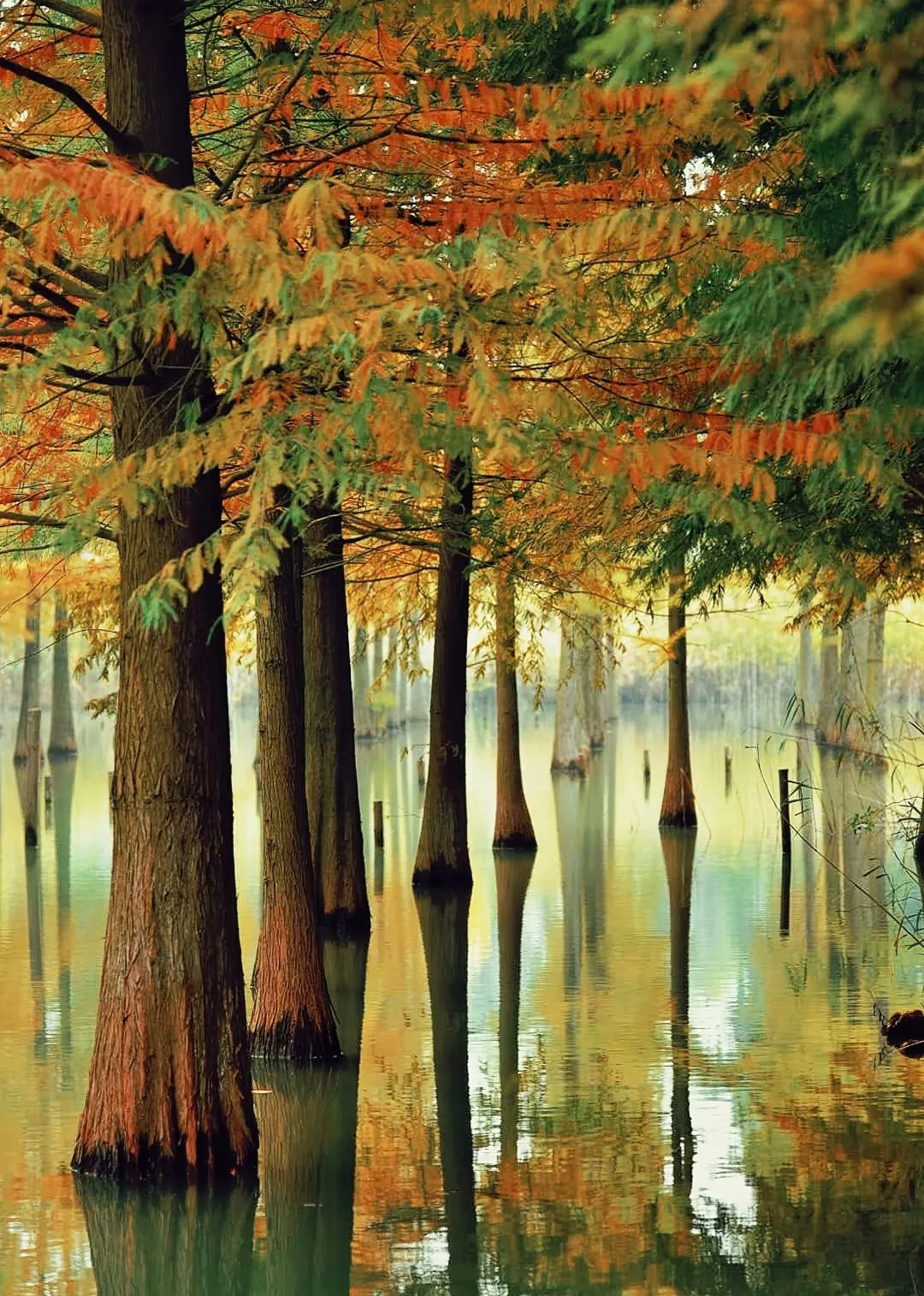 79b7e11744da63c2458d11eaf7f4a975-sz_1291193