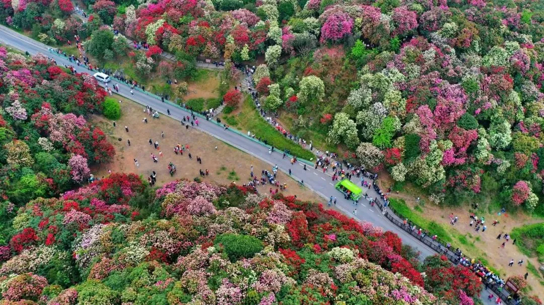 7a6f74100770f79f34c4fe1a50fab066-sz_242521