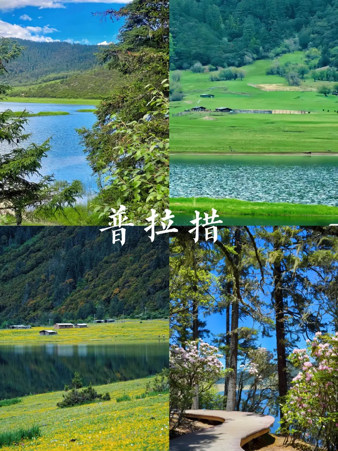 7a95b174664e718b33d57026384f7190-sz_1137249