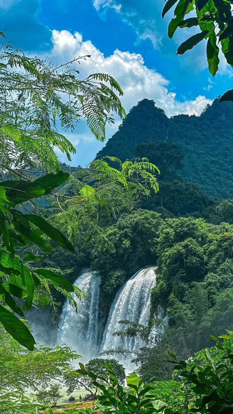 7aaabcd874e2ac4a70860d97efd97667-sz_326857 7aaabcd874e2ac4a70860d97efd97667-sz_326857