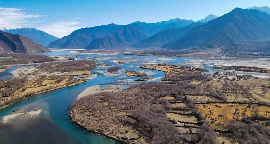 7aac7c0342f546c0b9deb0e411c45c0f-sz_855554