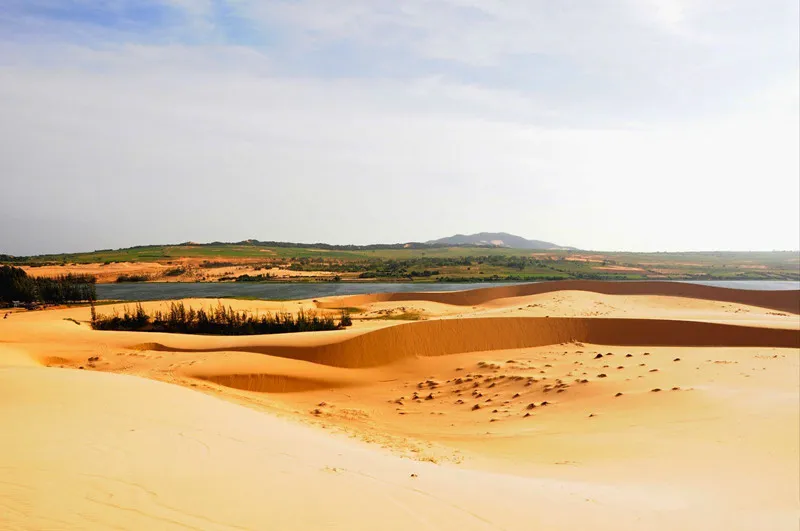 7ad3c4396d144d276c7942a14f627e2d-sz_86983 7ad3c4396d144d276c7942a14f627e2d-sz_86983