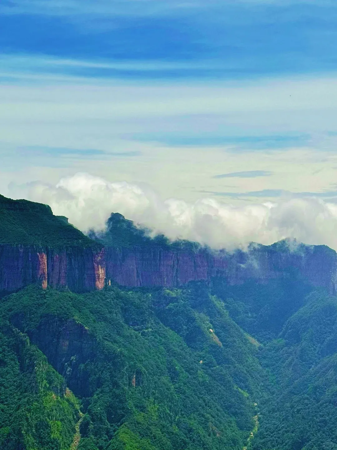 7aedab456a32b80d725cb59863735e6a-sz_866352-1