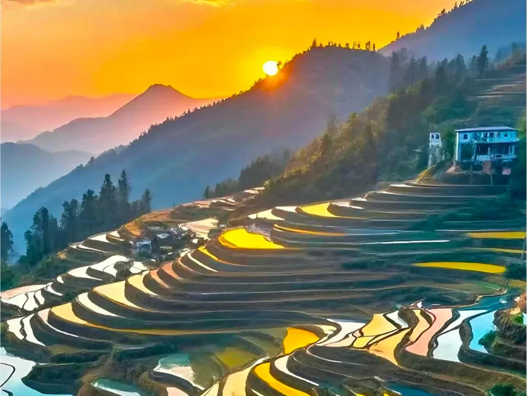 7b0216ce0e0eb4587824327c9b0b63d5-sz_2832379