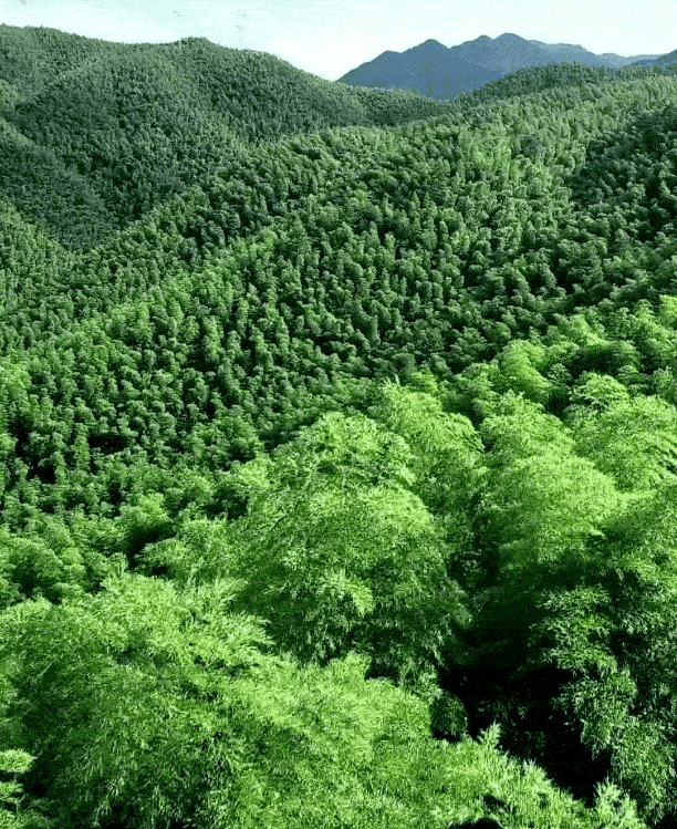 7b272605f653b7e2edb1f2acd522bb17-sz_4094827