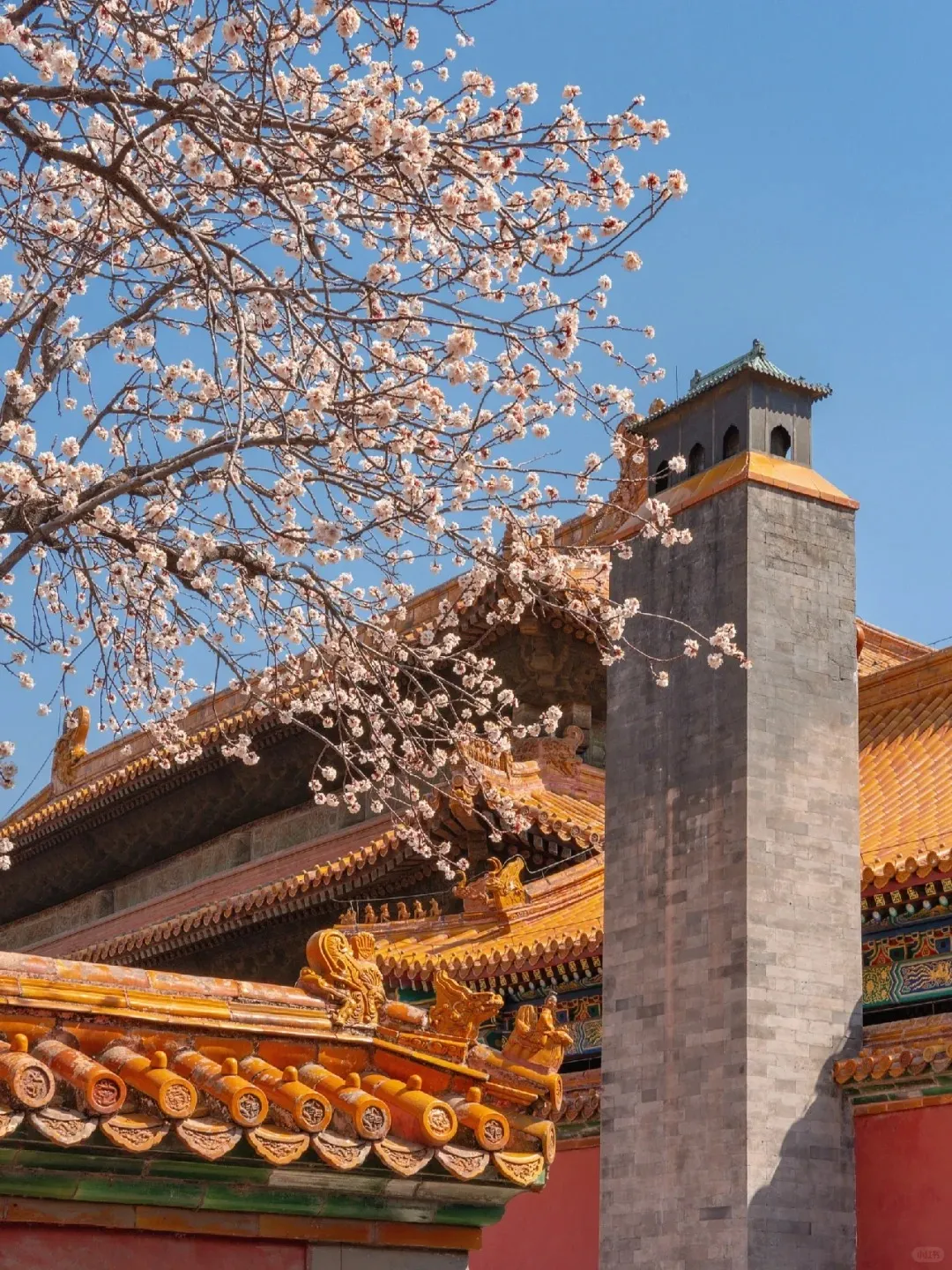 7b88046c5642668ccf25df952627f93f-sz_572278