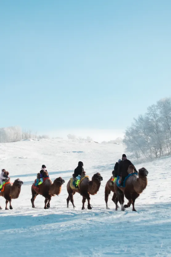 7b9d266711435ff6377337ce34dea12e-sz_543605 7b9d266711435ff6377337ce34dea12e-sz_543605