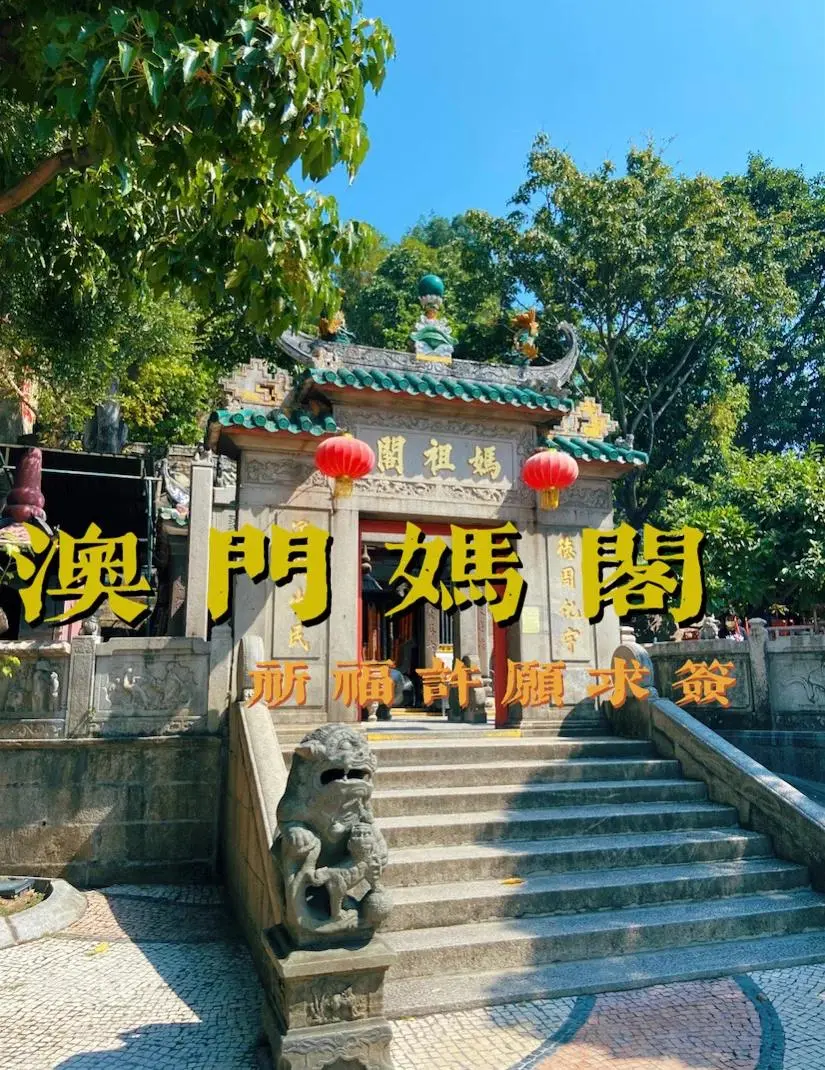 7bc1985eebd57310a9f870c3bf4547c5-sz_216010