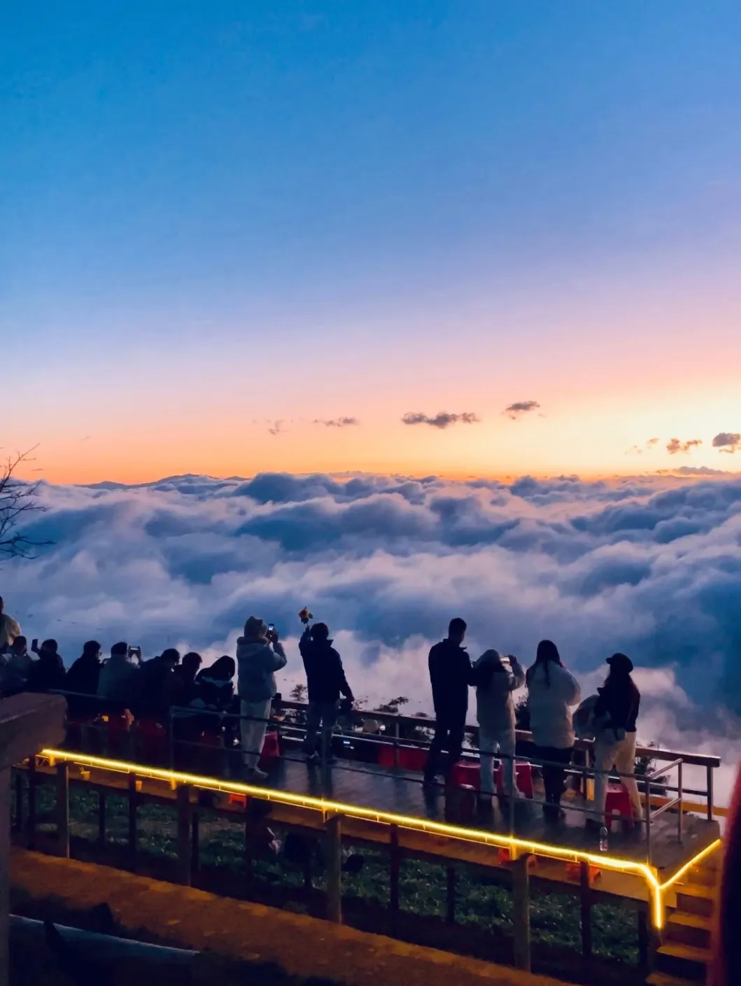 7c028b79df7a33d5536d6ffef92a7865-sz_317489