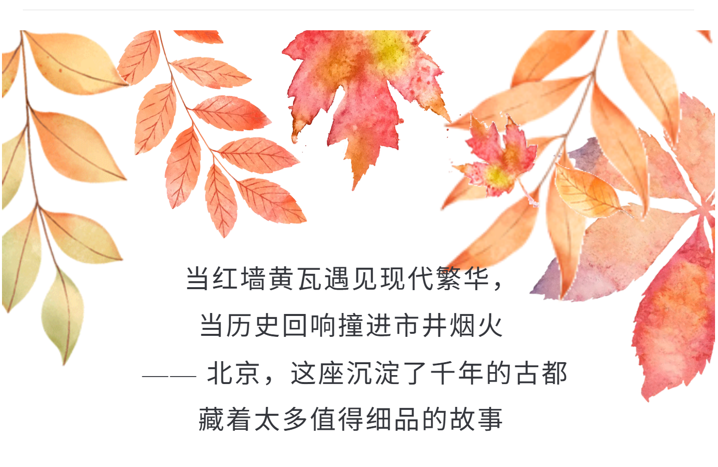 7c1d2f25b555b379898566e78d328e48