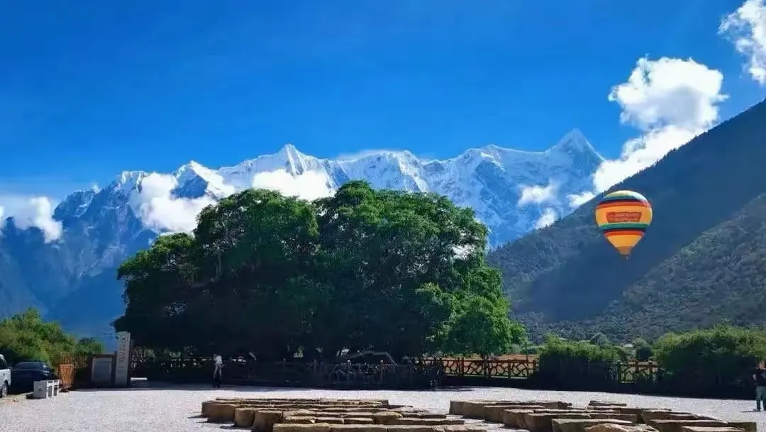 7c3a77bfc4c45990cb7c1d4f3ca3833f-sz_195238 7c3a77bfc4c45990cb7c1d4f3ca3833f-sz_195238