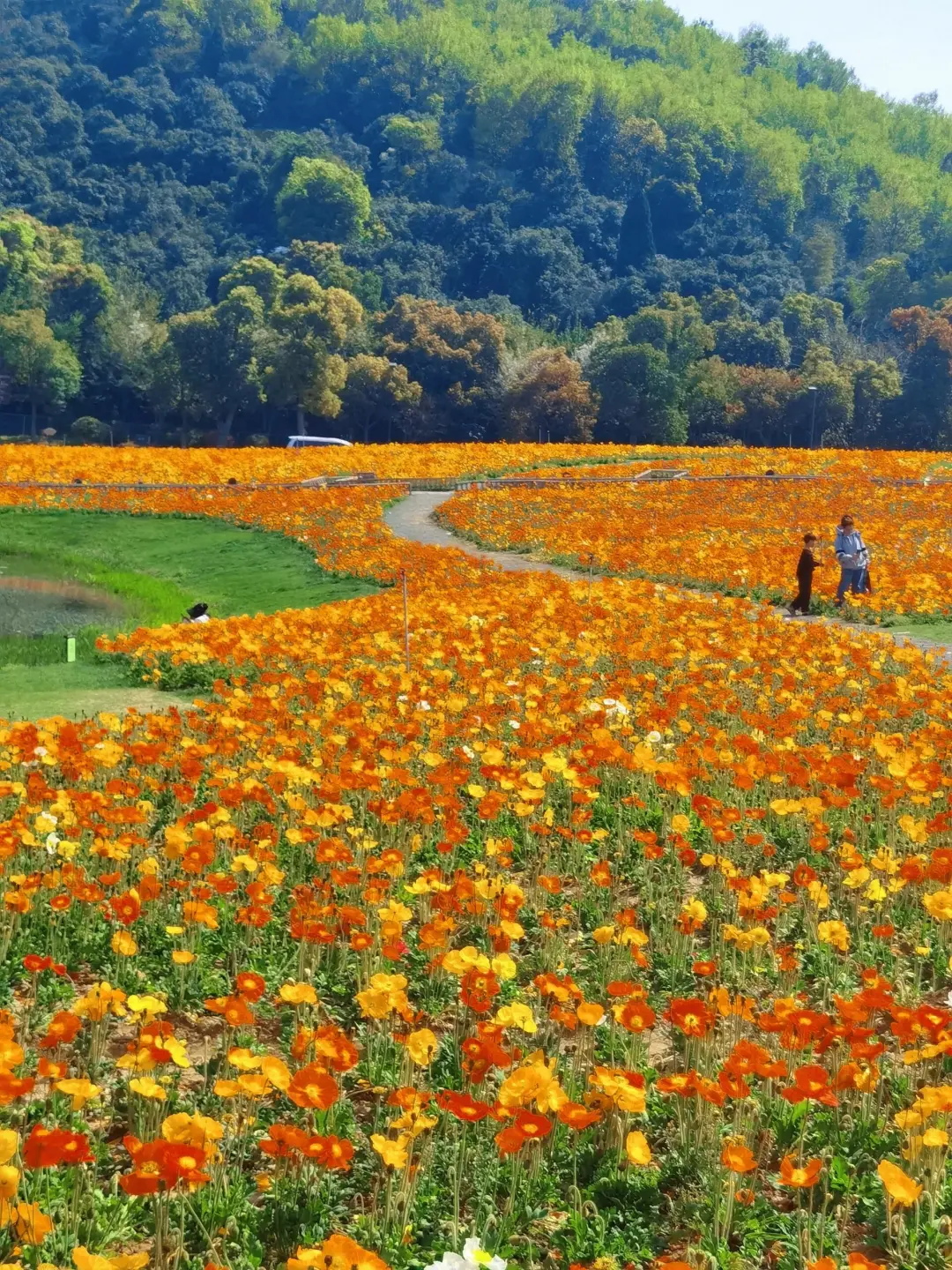 7c8b4867d06860f8633f34b008d0572e-sz_1098286