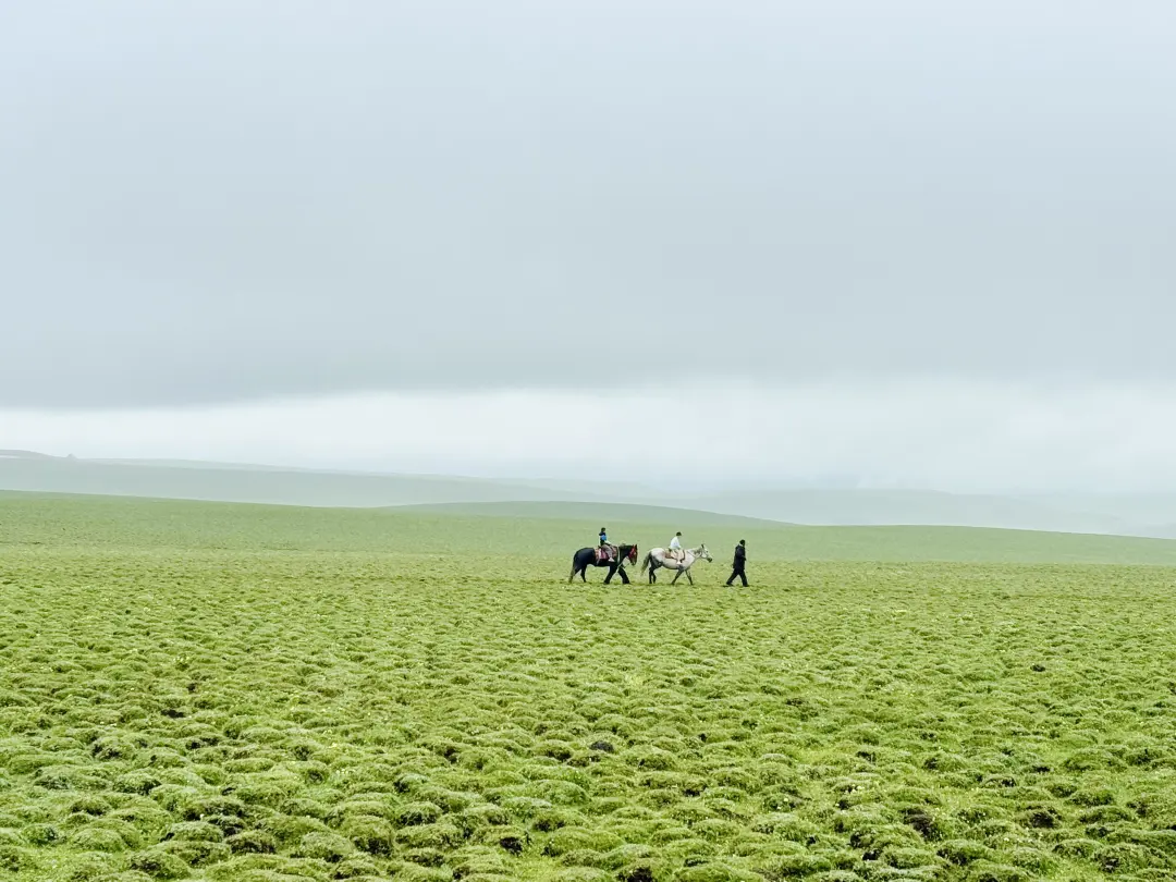 7ca747fdbea4be647d786d56df0bf2d6-sz_1106414 7ca747fdbea4be647d786d56df0bf2d6-sz_1106414