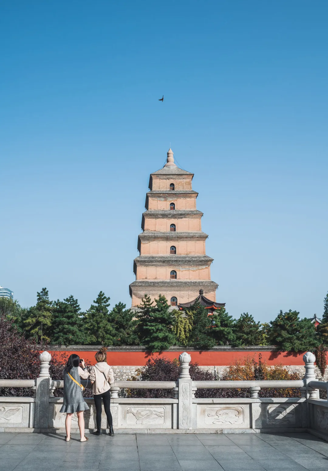 7ce9271b69f47f111273b580363d947f-sz_427226 7ce9271b69f47f111273b580363d947f-sz_427226