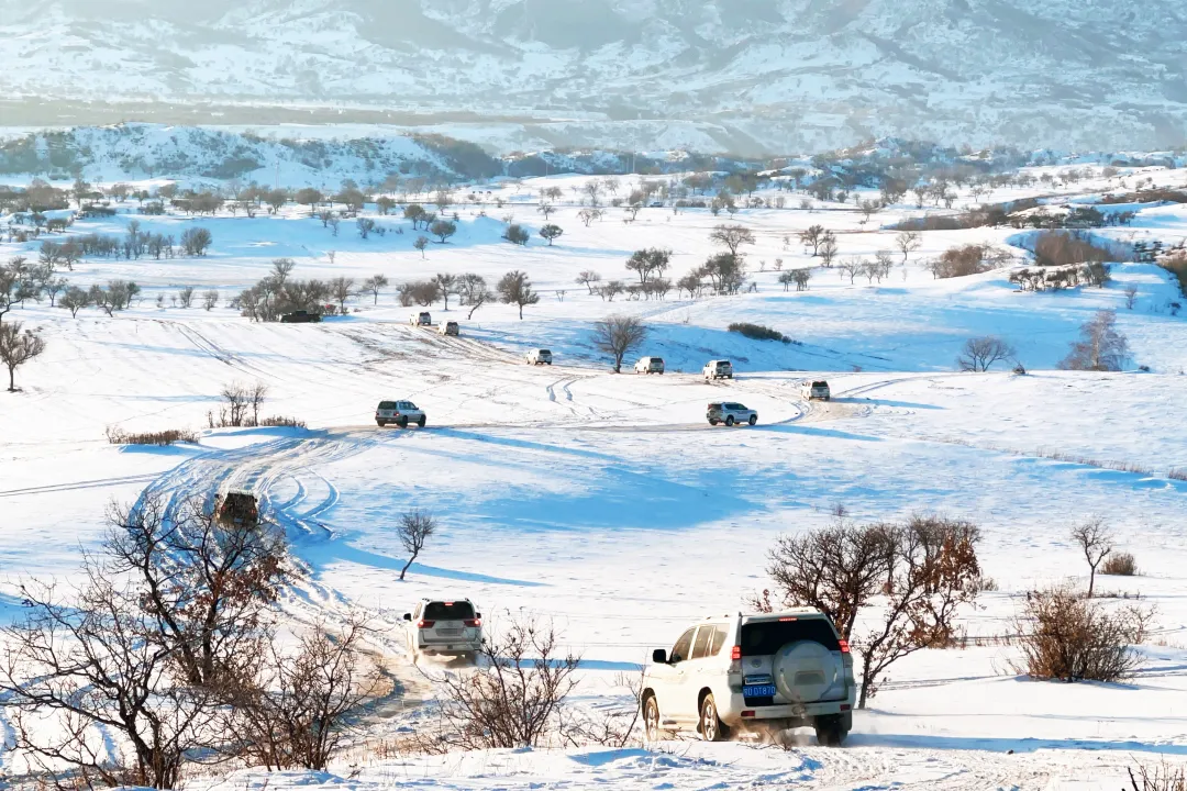 7d49182bf6df6fe92bf610814a730841-sz_6050178 7d49182bf6df6fe92bf610814a730841-sz_6050178