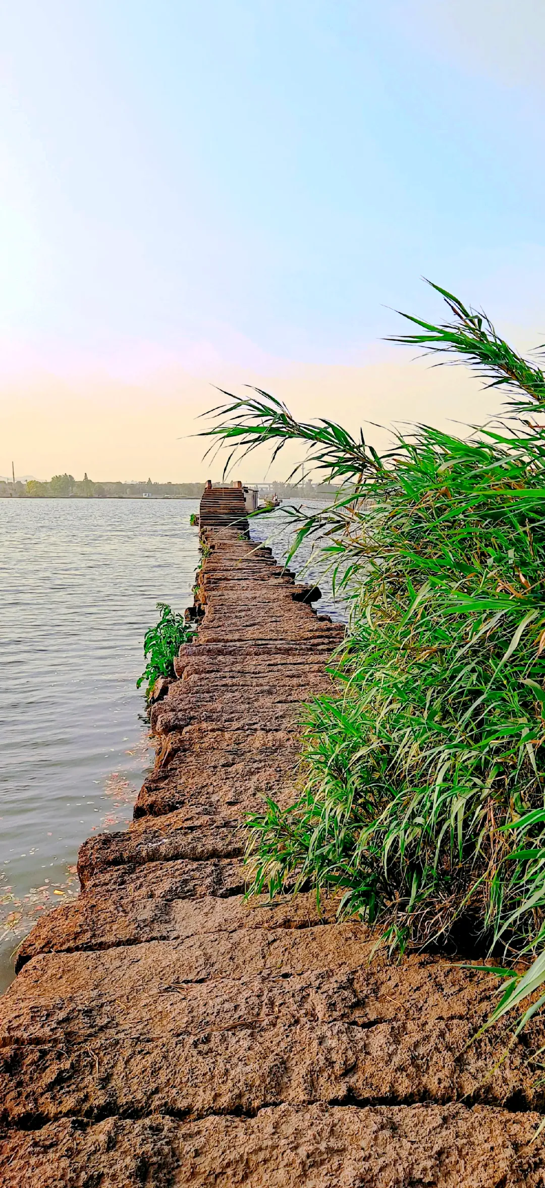 7d51c91354f967503b35986de6d229e7-sz_6767109