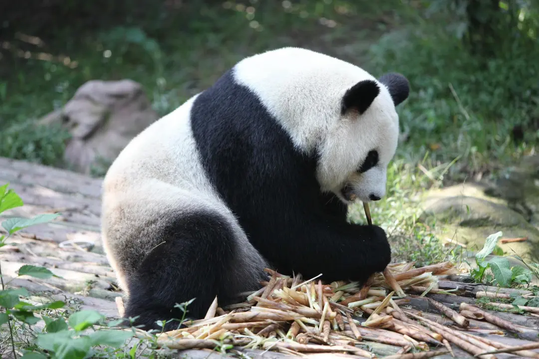 7d53c16b72399b625354f67a53d8b643-sz_249127-1 7d53c16b72399b625354f67a53d8b643-sz_249127-1