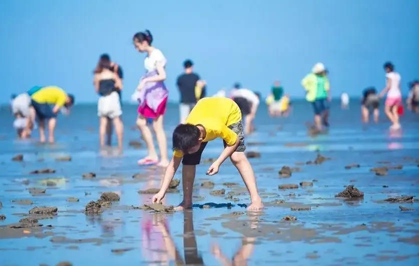 7d7bb45846891990e6227cb0f1b73981-sz_455559