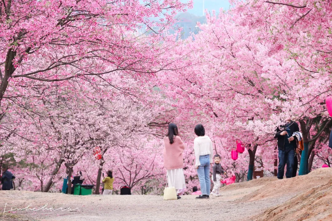 7da3d7178967710ccf9890a111559a59-sz_5282492 7da3d7178967710ccf9890a111559a59-sz_5282492