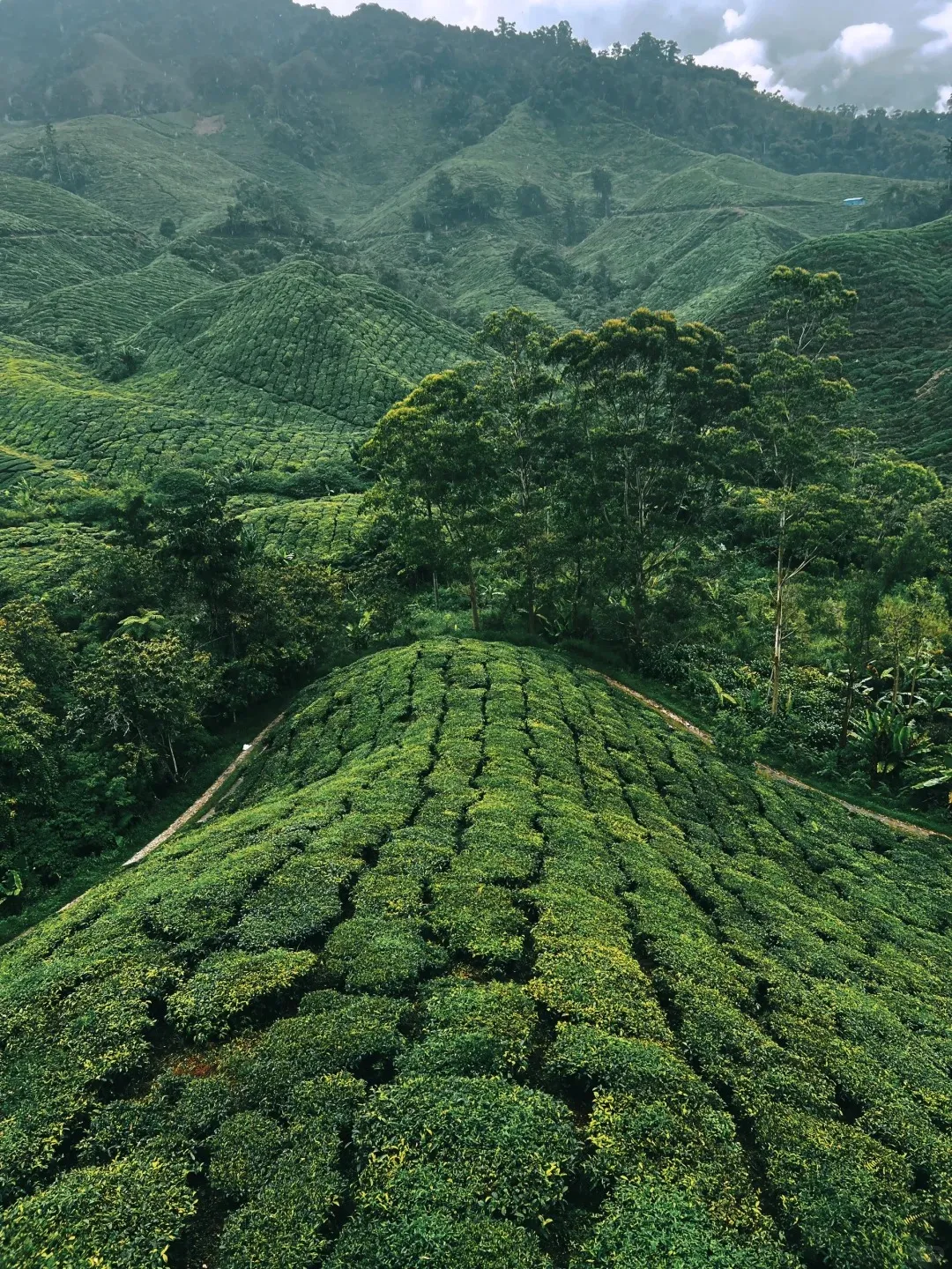 7db38b0e812fe9f92c5ddd612e0f0b02-sz_808598