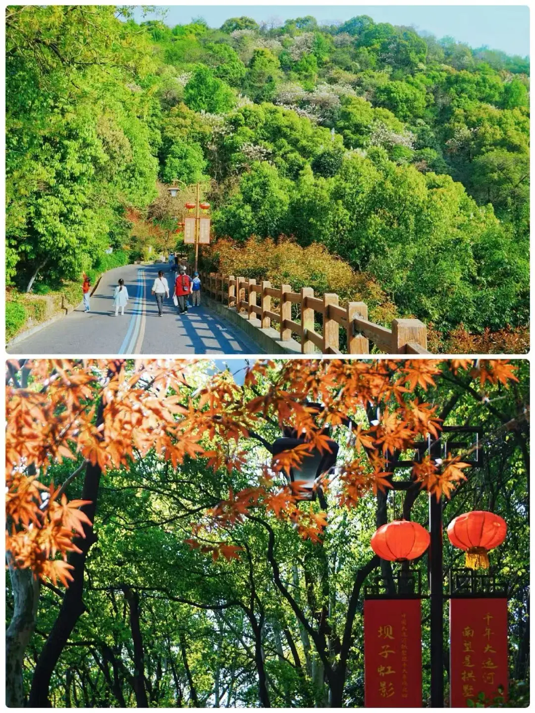 7dc76e0176e01c0dbe8bd91b57d3d248-sz_609691