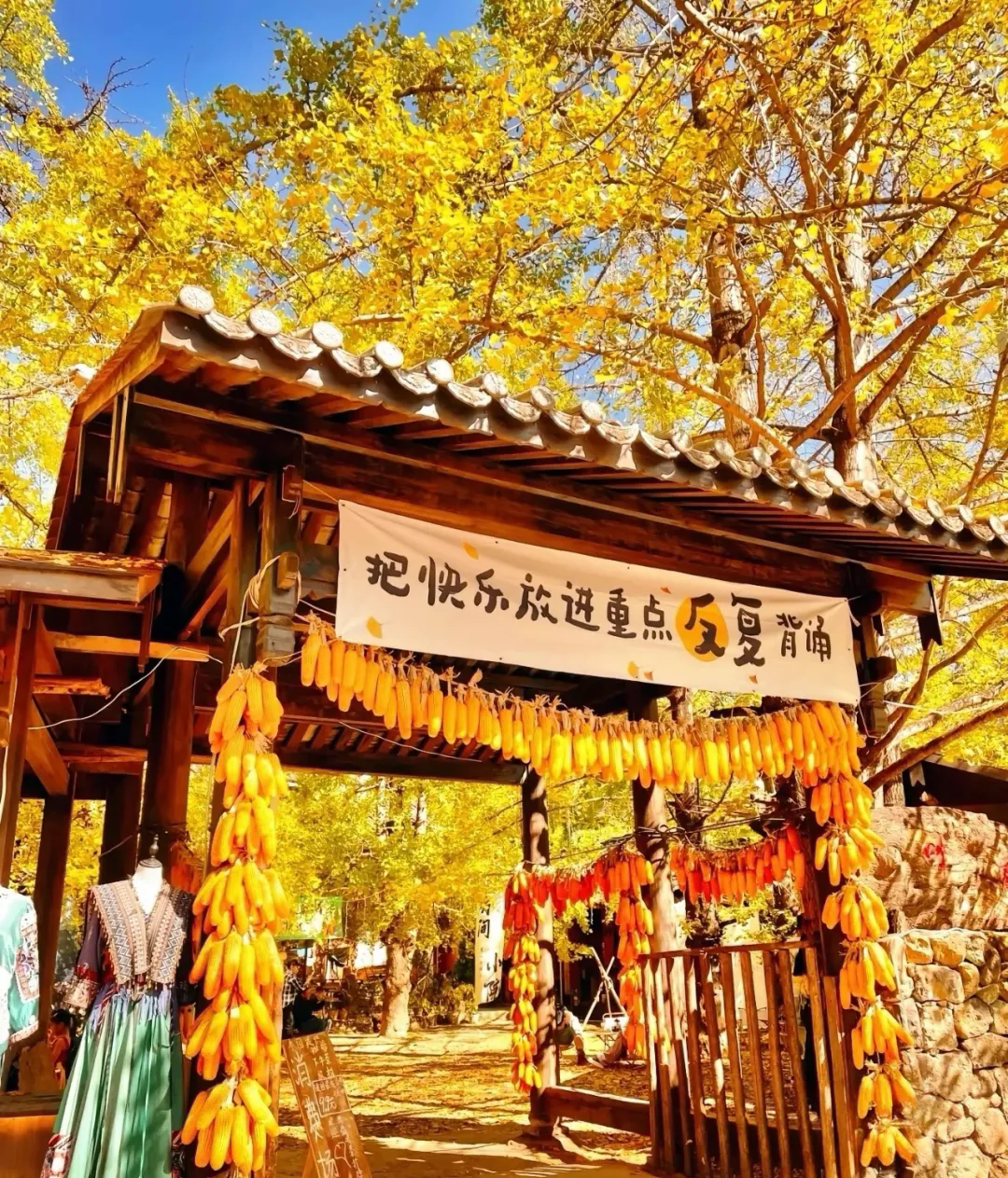 7dd3a11b6105fe14e8bd508b4feda2fd-sz_3073142