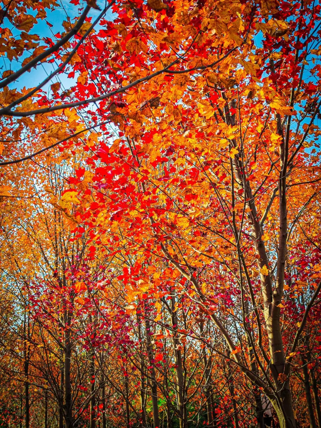 7dd83f80759f84bb1c3fee097f8912dd-sz_892746