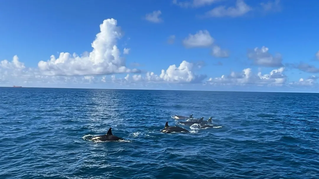 7ddb28c707c73338ad0a7af43a2763cf-sz_3482849 7ddb28c707c73338ad0a7af43a2763cf-sz_3482849