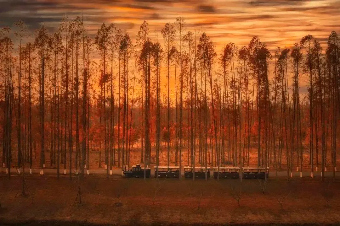 7de25c2189f6bc4295b7c5daab84d821-sz_261774 7de25c2189f6bc4295b7c5daab84d821-sz_261774