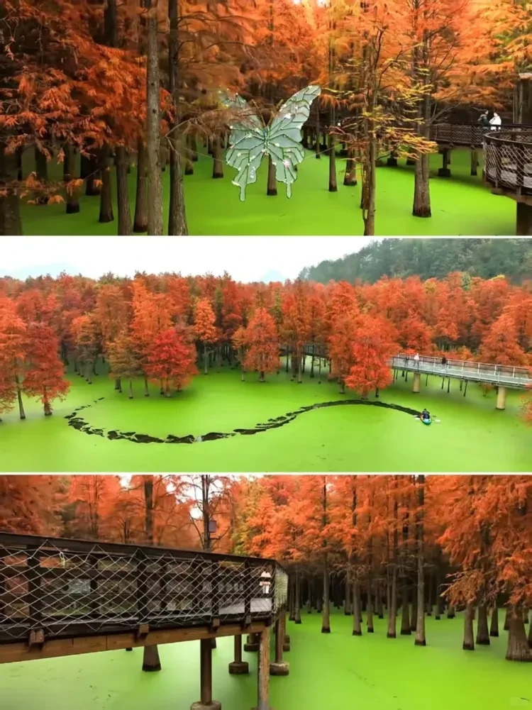 7e0b5184de8ef1fc0796bdcf4b551552-sz_3414723