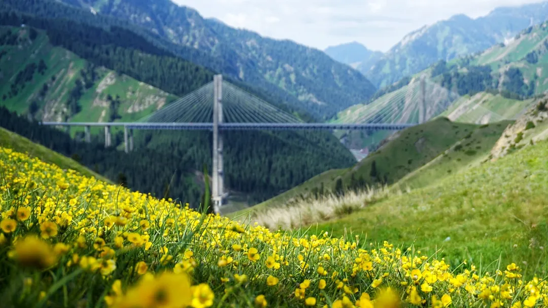 7e0f63ccda1e16934b8acbc6fc722de0-sz_374016-1